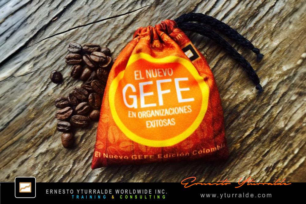 GEFE Gestores de Felicidad: Taller de Liderazgo para articular la felicidad laboral y la productividad